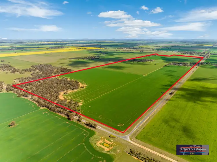 Second view of Homely rural property listing, 699 Tandarra-Serpentine Road, Tandarra VIC 3571