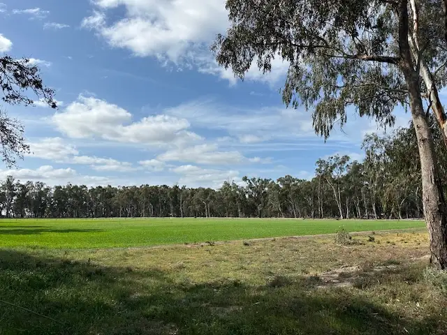 Third view of Homely rural property listing, 456 RIVER ROAD, Gonn Crossing VIC 3579