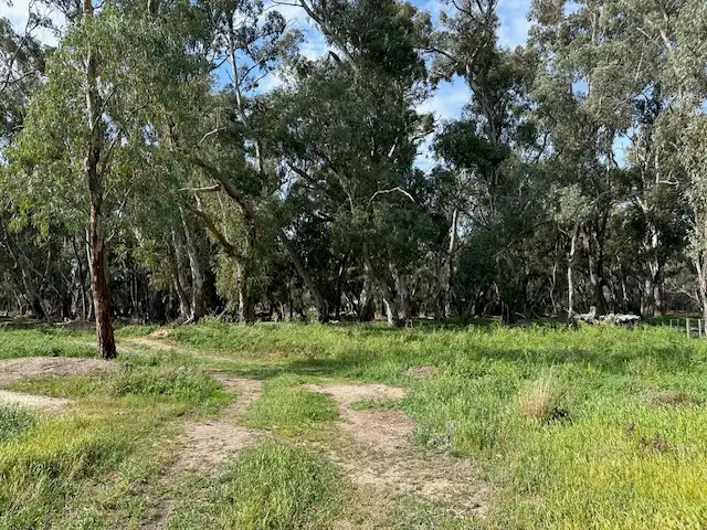 Fifth view of Homely rural property listing, 456 RIVER ROAD, Gonn Crossing VIC 3579