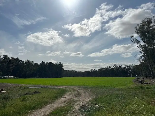 Sixth view of Homely rural property listing, 456 RIVER ROAD, Gonn Crossing VIC 3579