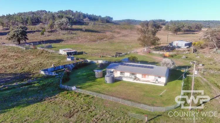 Second view of Homely rural property listing, 3889 Nullamanna Road, Wellingrove NSW 2370
