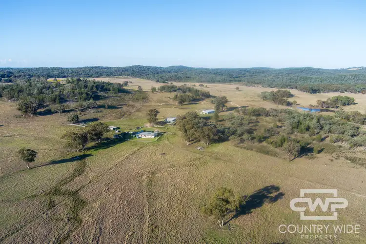 Third view of Homely rural property listing, 3889 Nullamanna Road, Wellingrove NSW 2370