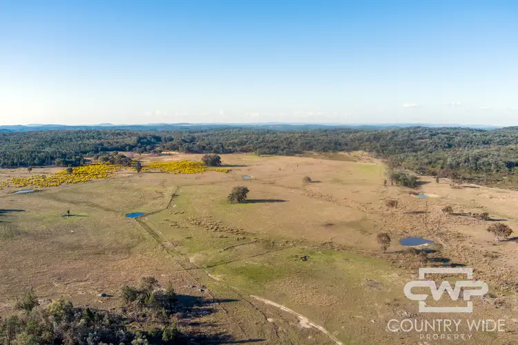 Fourth view of Homely rural property listing, 3889 Nullamanna Road, Wellingrove NSW 2370