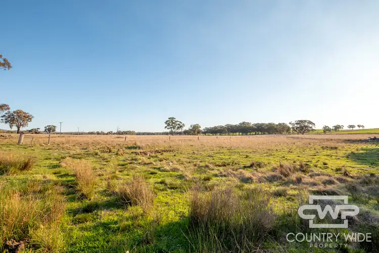 Fifth view of Homely rural property listing, 3889 Nullamanna Road, Wellingrove NSW 2370