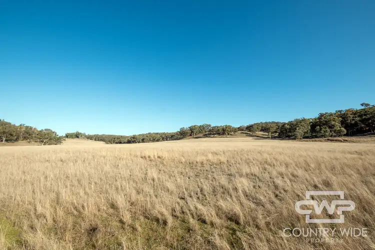 Sixth view of Homely rural property listing, 3889 Nullamanna Road, Wellingrove NSW 2370