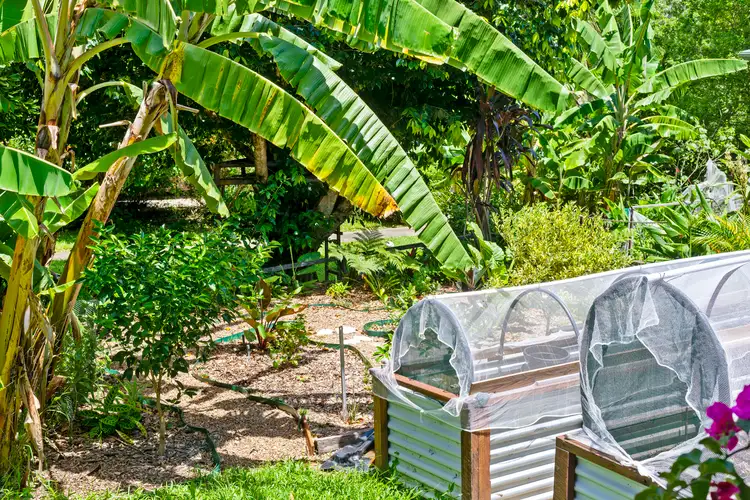 Sixth view of Homely house listing, 7 Forest Way, Currumbin Valley QLD 4223