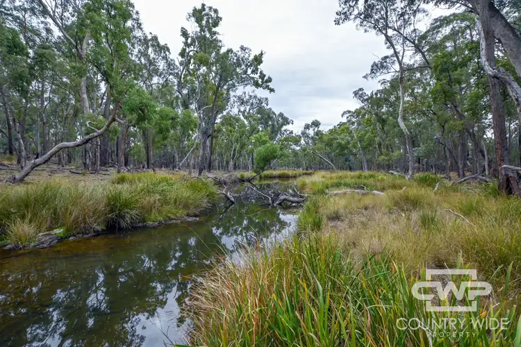 Third view of Homely rural property listing, LOT 73/74 Strathbogie Road, Wellingrove NSW 2370
