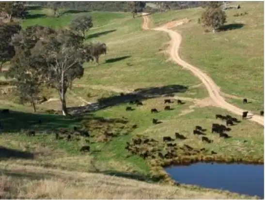2102 Turondale Road, Turondale NSW 2795