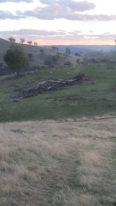 Fifth view of Homely rural property listing, 2102 Turondale Road, Turondale NSW 2795