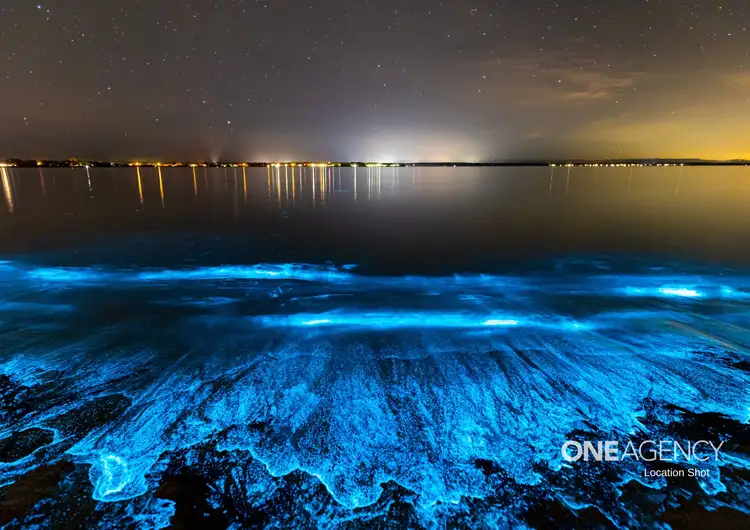 Seventh view of Homely unit listing, 105/4 Murdoch Street, Huskisson NSW 2540