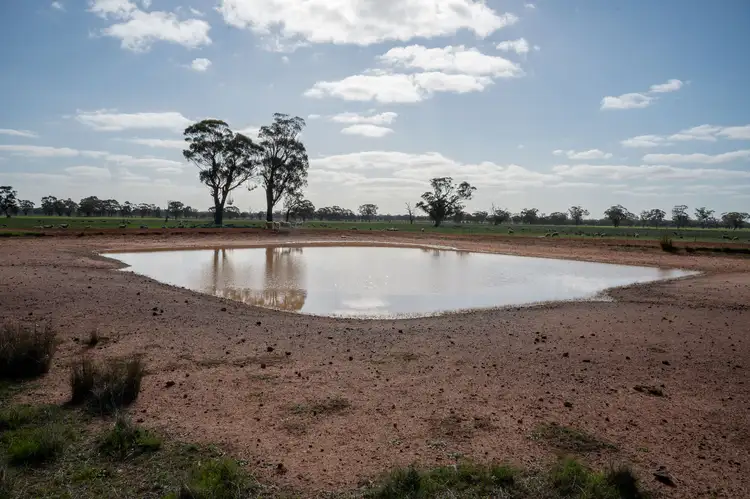 Fourth view of Homely rural property listing, Winfields Road, Laharum VIC 3401