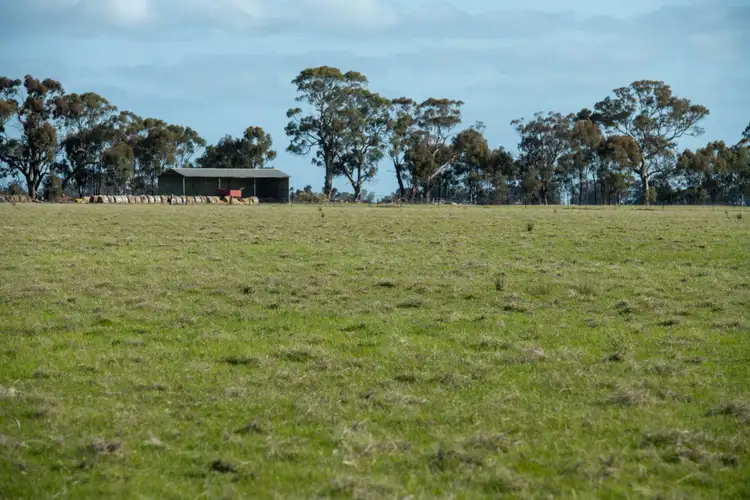 Fifth view of Homely rural property listing, Winfields Road, Laharum VIC 3401