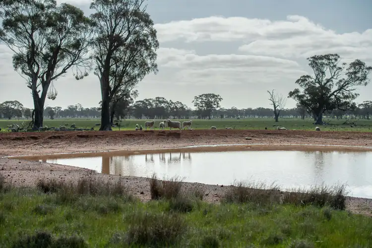 Seventh view of Homely rural property listing, Winfields Road, Laharum VIC 3401