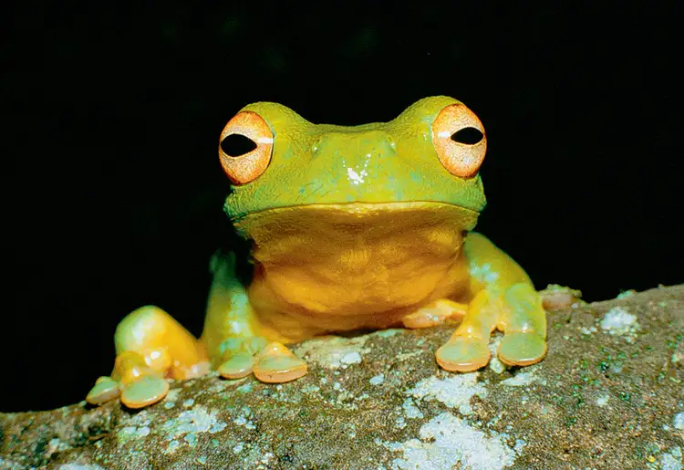 Address available on request