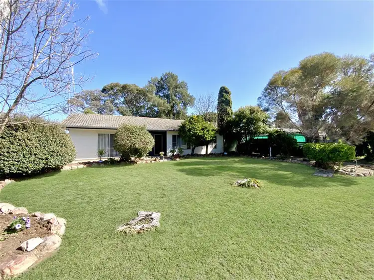 128 York Street, Forbes NSW 2871