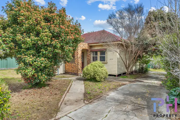 459 Napier Street, White Hills VIC 3550