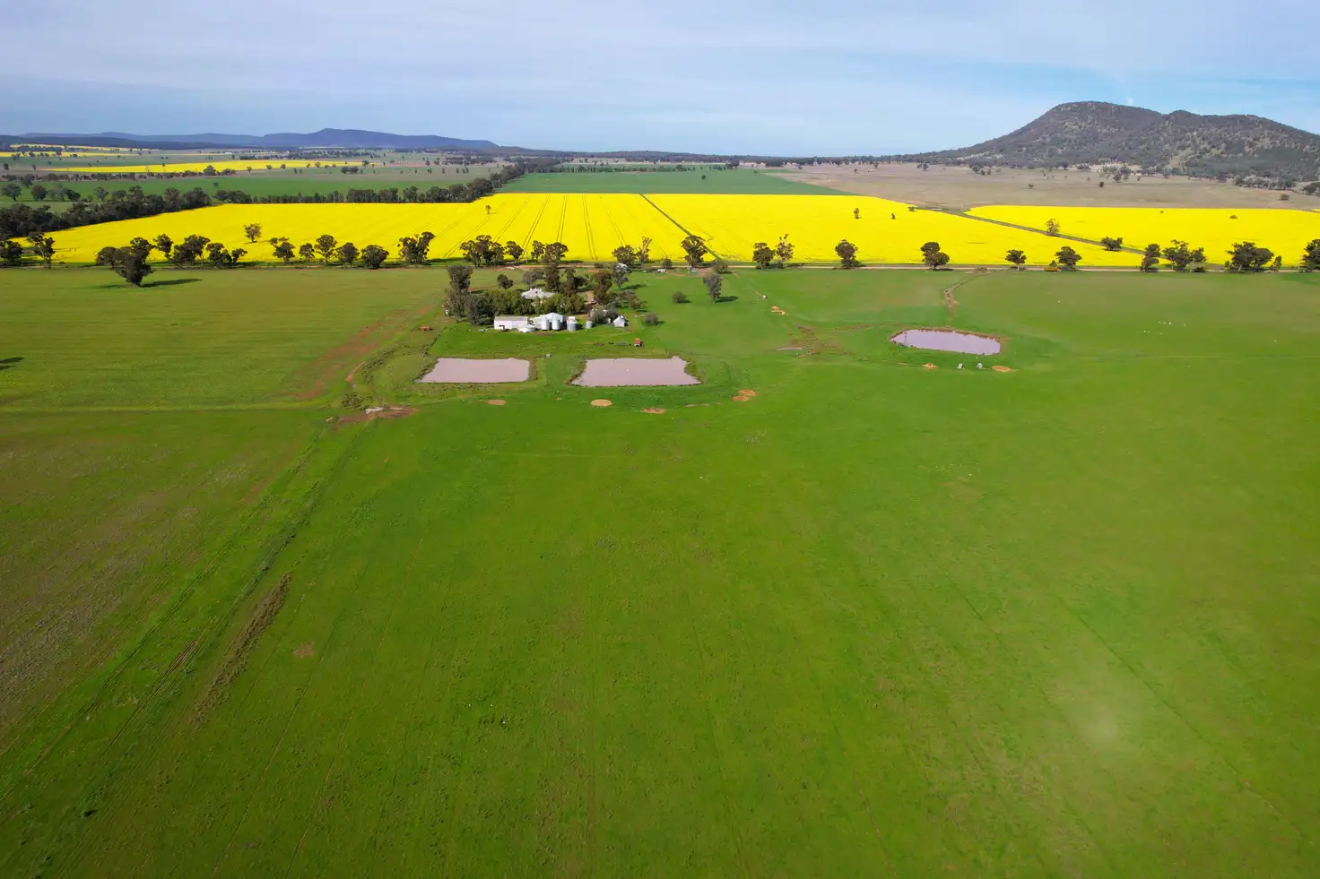 Main view of Homely rural property listing, 'Woodlands" 238 Gap Road, Grenfell NSW 2810