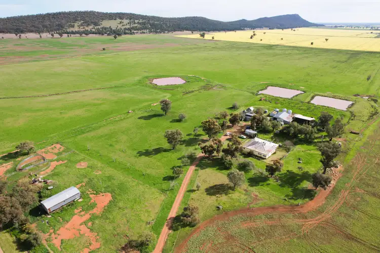 Second view of Homely rural property listing, 'Woodlands" 238 Gap Road, Grenfell NSW 2810