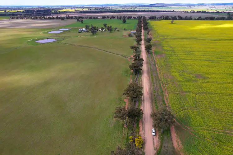 Third view of Homely rural property listing, 'Woodlands" 238 Gap Road, Grenfell NSW 2810