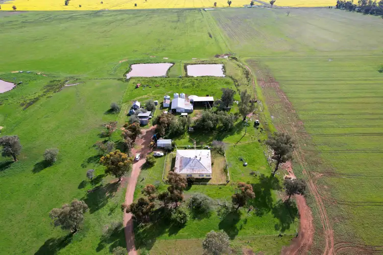 Fourth view of Homely rural property listing, 'Woodlands" 238 Gap Road, Grenfell NSW 2810