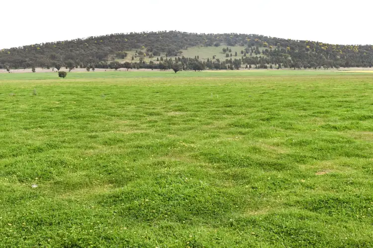 Sixth view of Homely rural property listing, 'Woodlands" 238 Gap Road, Grenfell NSW 2810