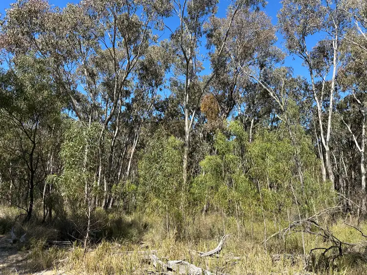 Second view of Homely rural property listing, 147 Tillie Willie Road, Coolah NSW 2843