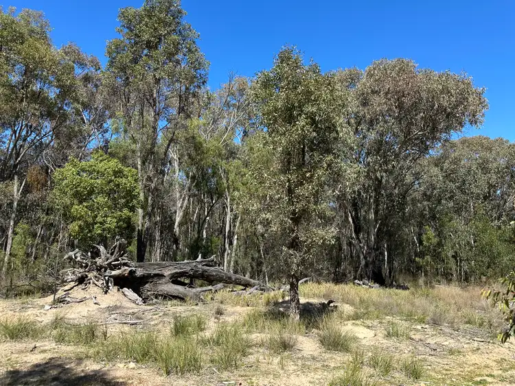 Third view of Homely rural property listing, 147 Tillie Willie Road, Coolah NSW 2843