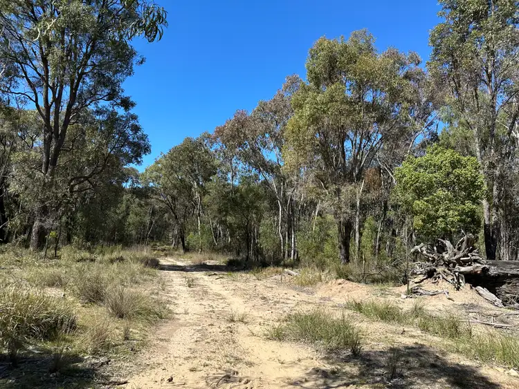 Fourth view of Homely rural property listing, 147 Tillie Willie Road, Coolah NSW 2843