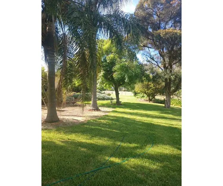 Fourth view of Homely rural property listing, 511 Walbundrie Road, Culcairn NSW 2660