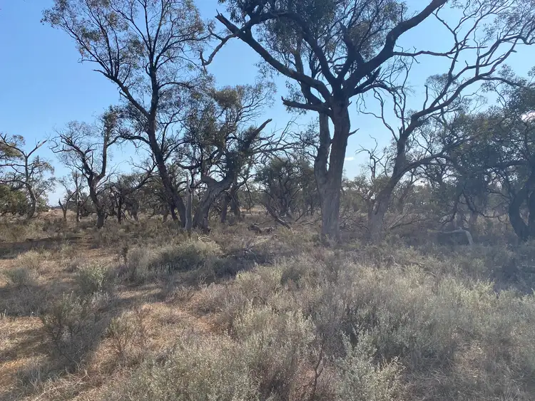 Fourth view of Homely land listing, 66 Battens Road, Sedan SA 5353