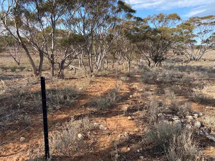 Fifth view of Homely land listing, 66 Battens Road, Sedan SA 5353