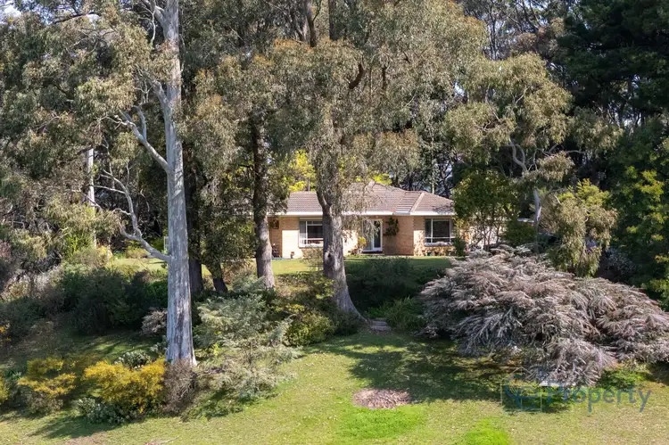 Main view of Homely rural property listing, 98 Lindner Avenue, Ashton SA 5137