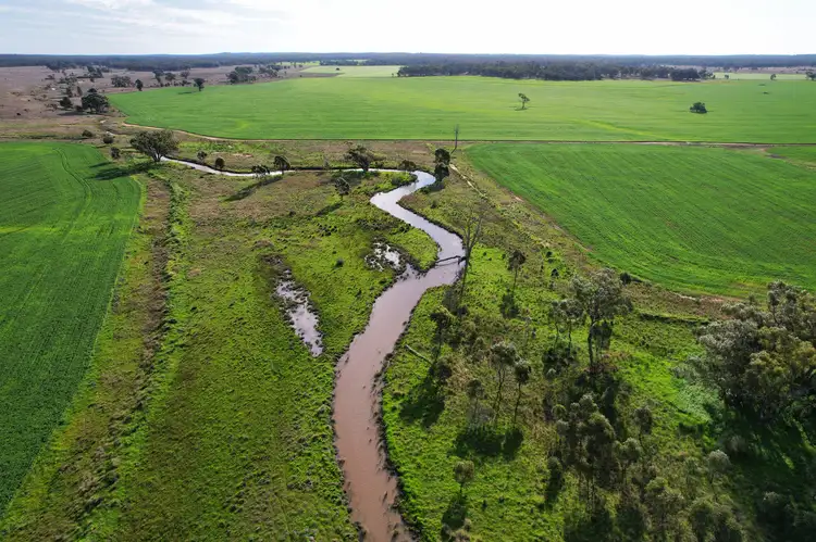 "Springvale" 402 Kerriwah Road, Tullamore NSW 2874