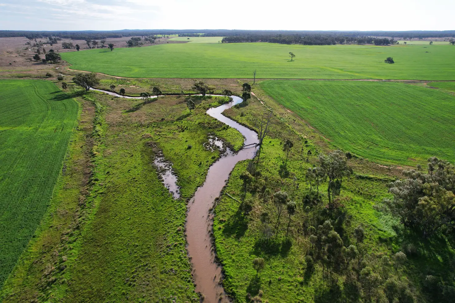 Main view of Homely rural property listing, "Springvale" 402 Kerriwah Road, Tullamore NSW 2874