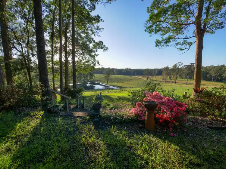 906 Wattley Hill Road, Topi Topi NSW 2423