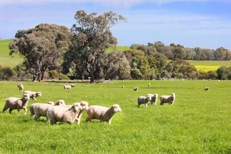 Fourth view of Homely rural property listing, 2056 Benalla-Yarrawonga Road, Bungeet West VIC 3726