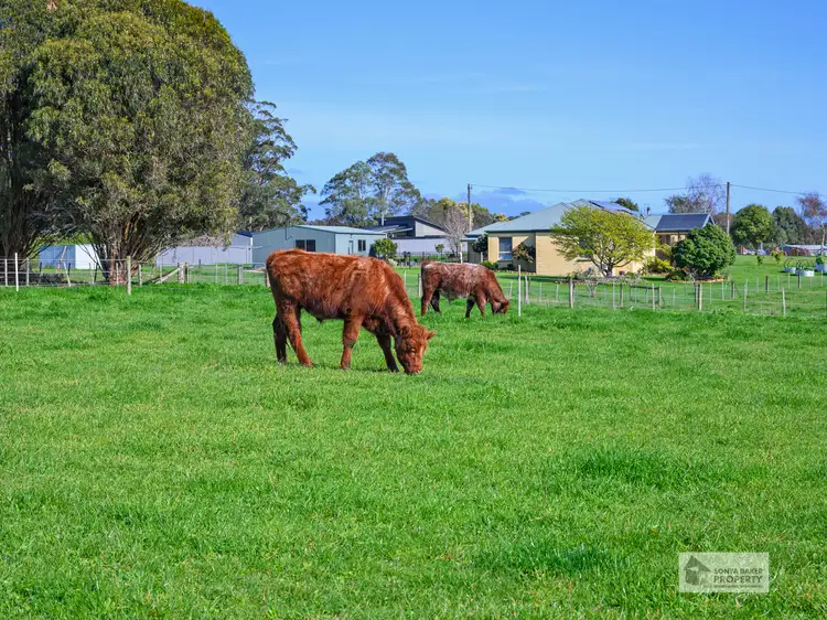 Seventh view of Homely rural property listing, 102 Oldina Road, Wynyard TAS 7325