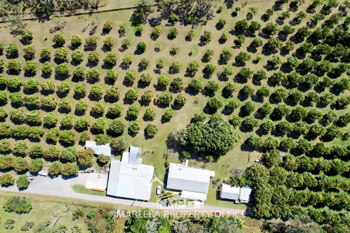 Main view of Homely rural property listing, 3762 Kennedy Highway, Mareeba QLD 4880