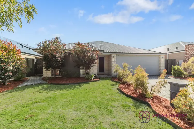 35 Capertree Vista, Wellard WA 6170