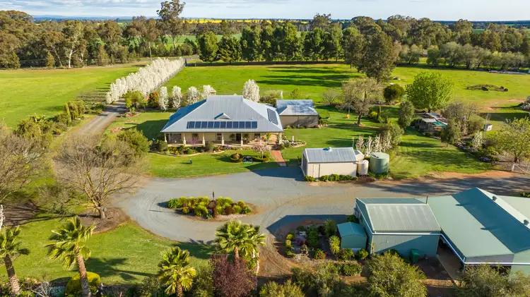 86 Oil Tree Lagoon Road, Balldale NSW 2646