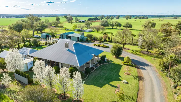 Fourth view of Homely rural property listing, 86 Oil Tree Lagoon Road, Balldale NSW 2646