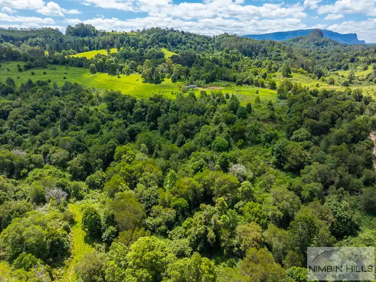 Sixth view of Homely land listing, 345 Blue Knob Road, Blue Knob NSW 2480