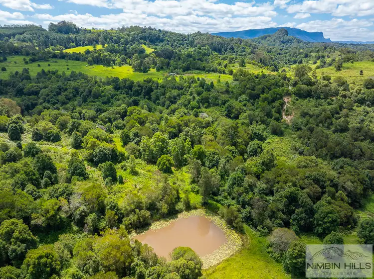 Seventh view of Homely land listing, 345 Blue Knob Road, Blue Knob NSW 2480