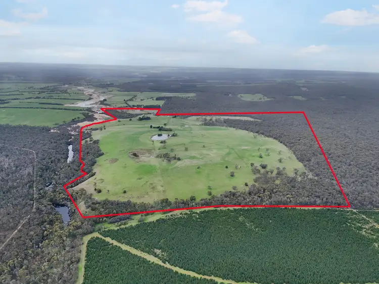 Main view of Homely rural property listing, 162 Youngs Lane, Hotspur VIC 3303