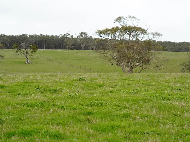 Second view of Homely rural property listing, 162 Youngs Lane, Hotspur VIC 3303