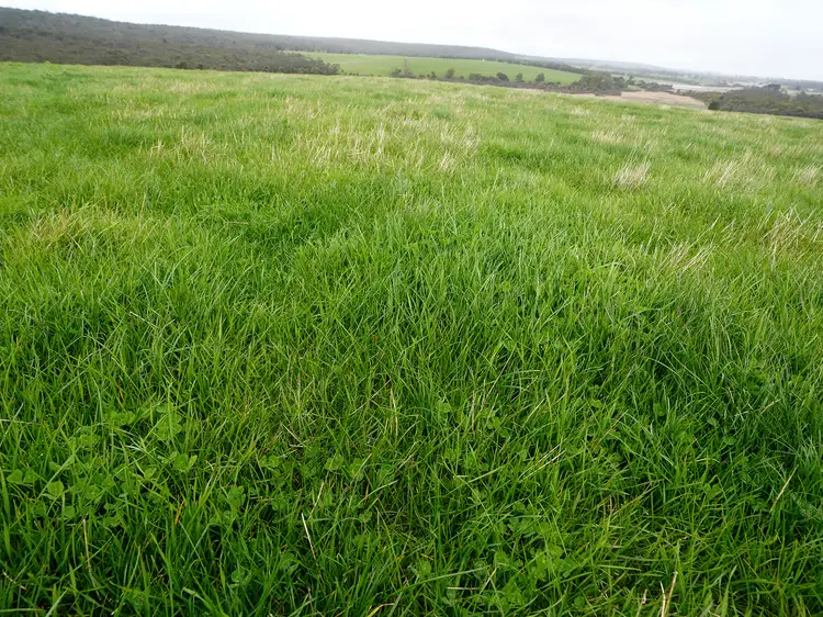 Sixth view of Homely rural property listing, 162 Youngs Lane, Hotspur VIC 3303