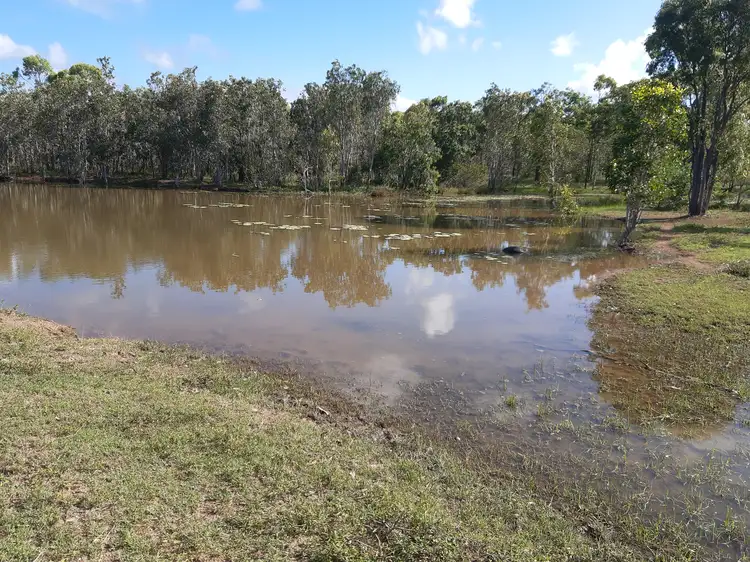 Seventh view of Homely rural property listing, 274 Kunapipi Road, Bloomsbury QLD 4799