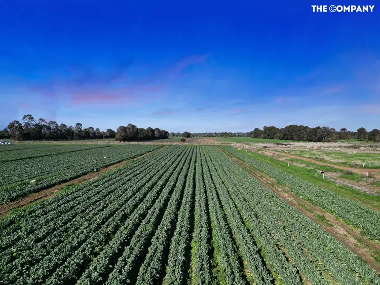 Third view of Homely land listing, 300 Trevaskis Road, Kialla VIC 3631