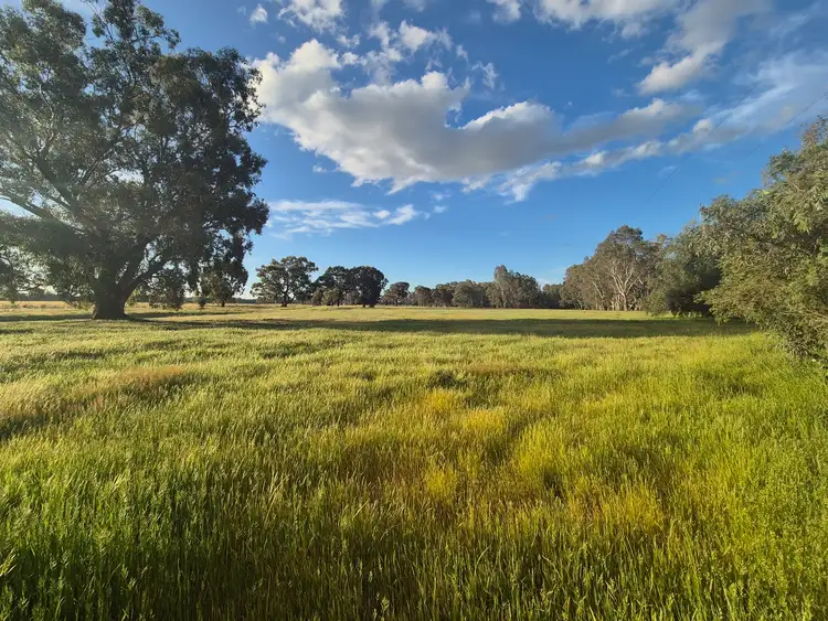 Second view of Homely rural property listing, 50 Ramage Road, Violet Town VIC 3669