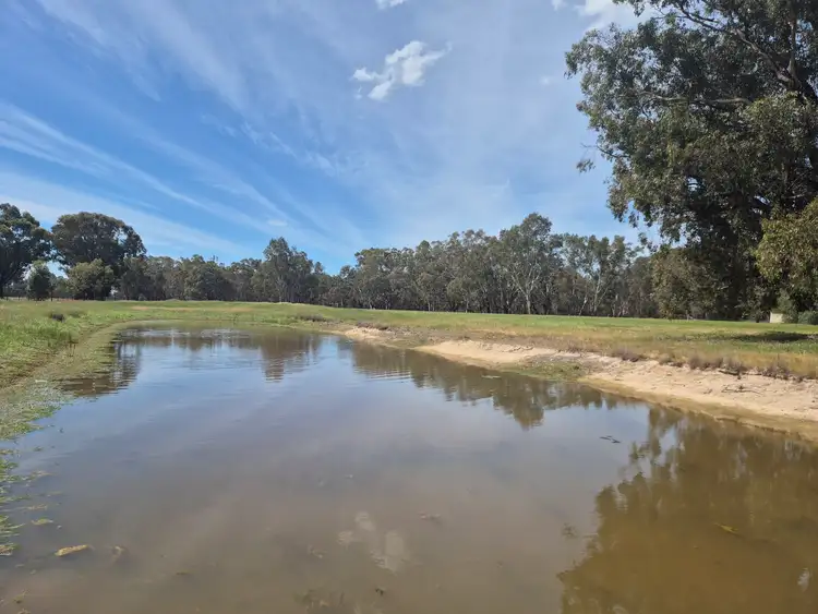 Fifth view of Homely rural property listing, 50 Ramage Road, Violet Town VIC 3669